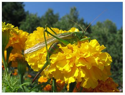 Wej�cie do galerii fotografik�w PRZECI�GU