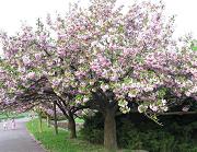 powi�ksz zdj�cie