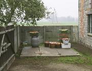 powi�ksz zdj�cie