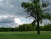 powi�ksz zdj�cie