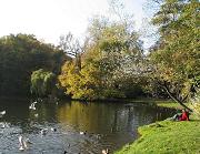 powi�ksz zdj�cie